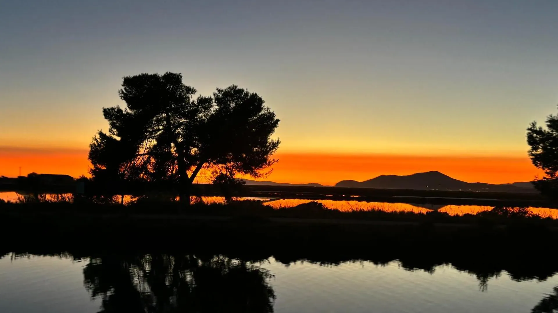 Les Flamants Roses La Capte T2 4 Personnes 200M De La Plage Hyères