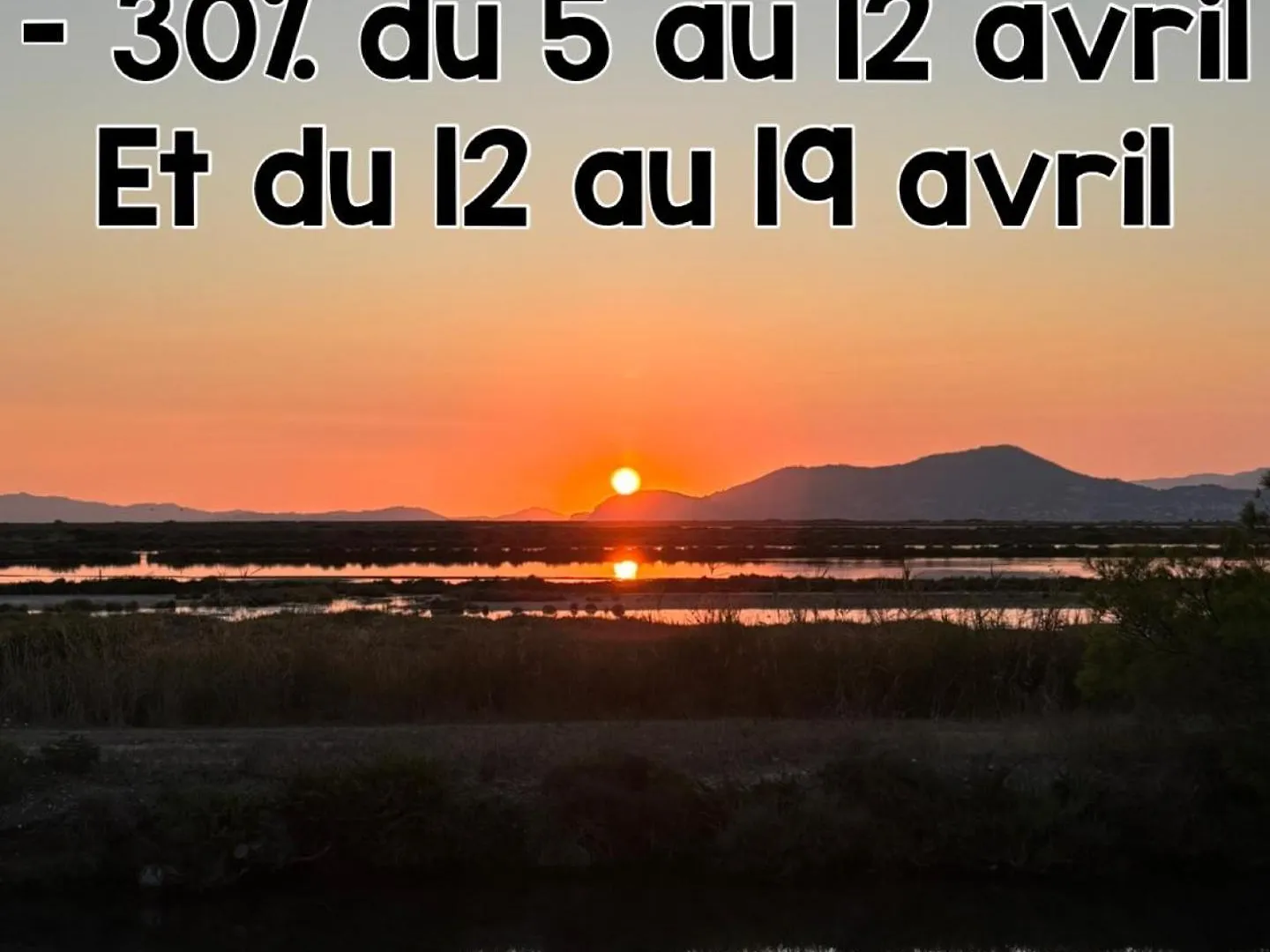 Apartment Les Flamants Roses La Capte T2 4 Personnes 200M De La Plage Hyères