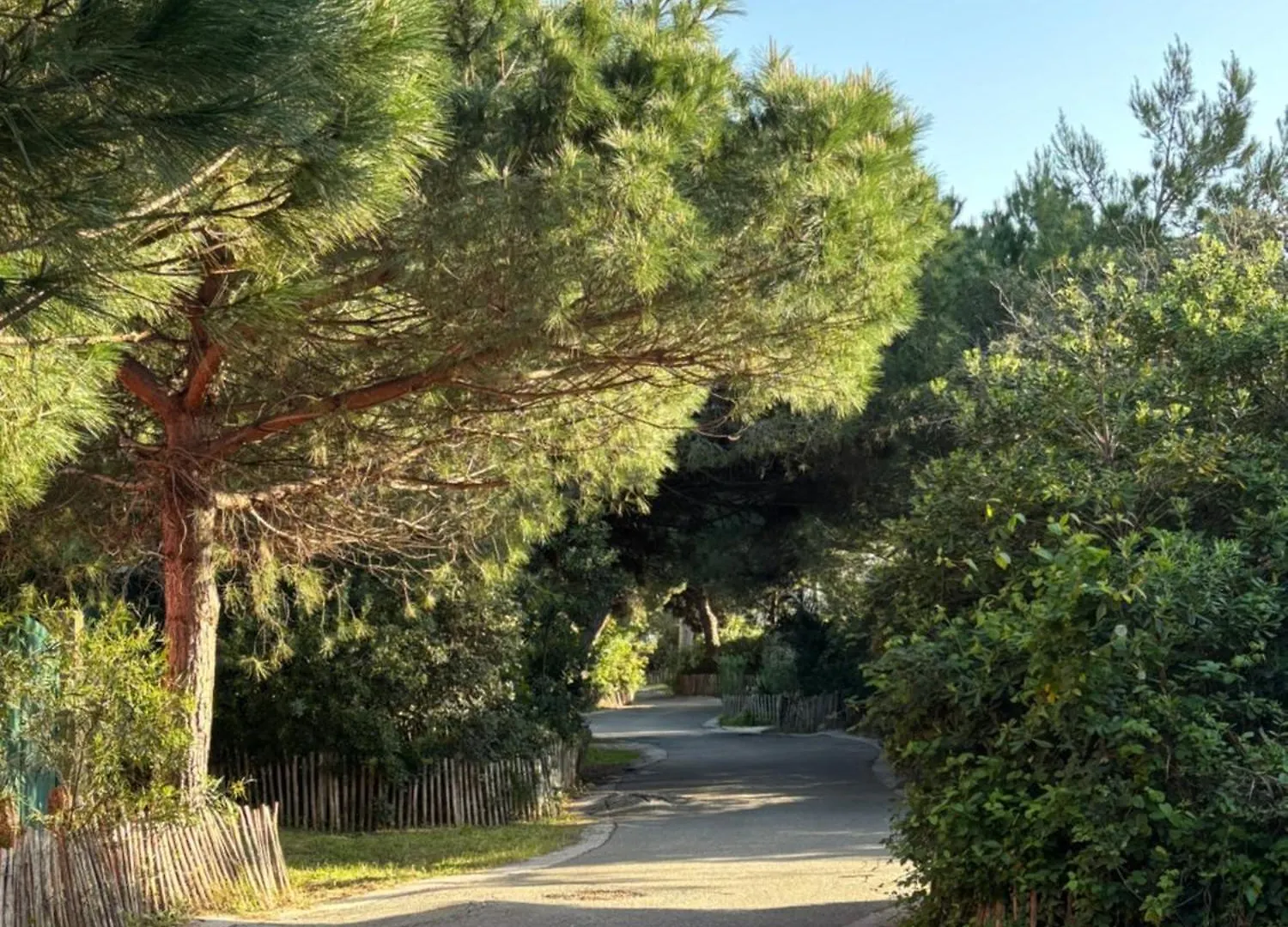 Apartment Les Flamants Roses La Capte T2 4 Personnes 200M De La Plage Hyères Frankreich